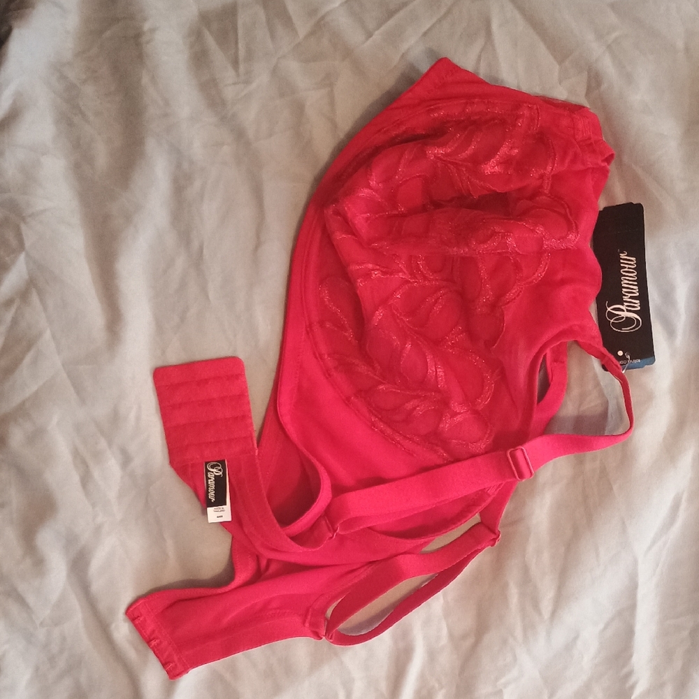 Parmour Vibrant Red Sheer Silky Bra Intimates